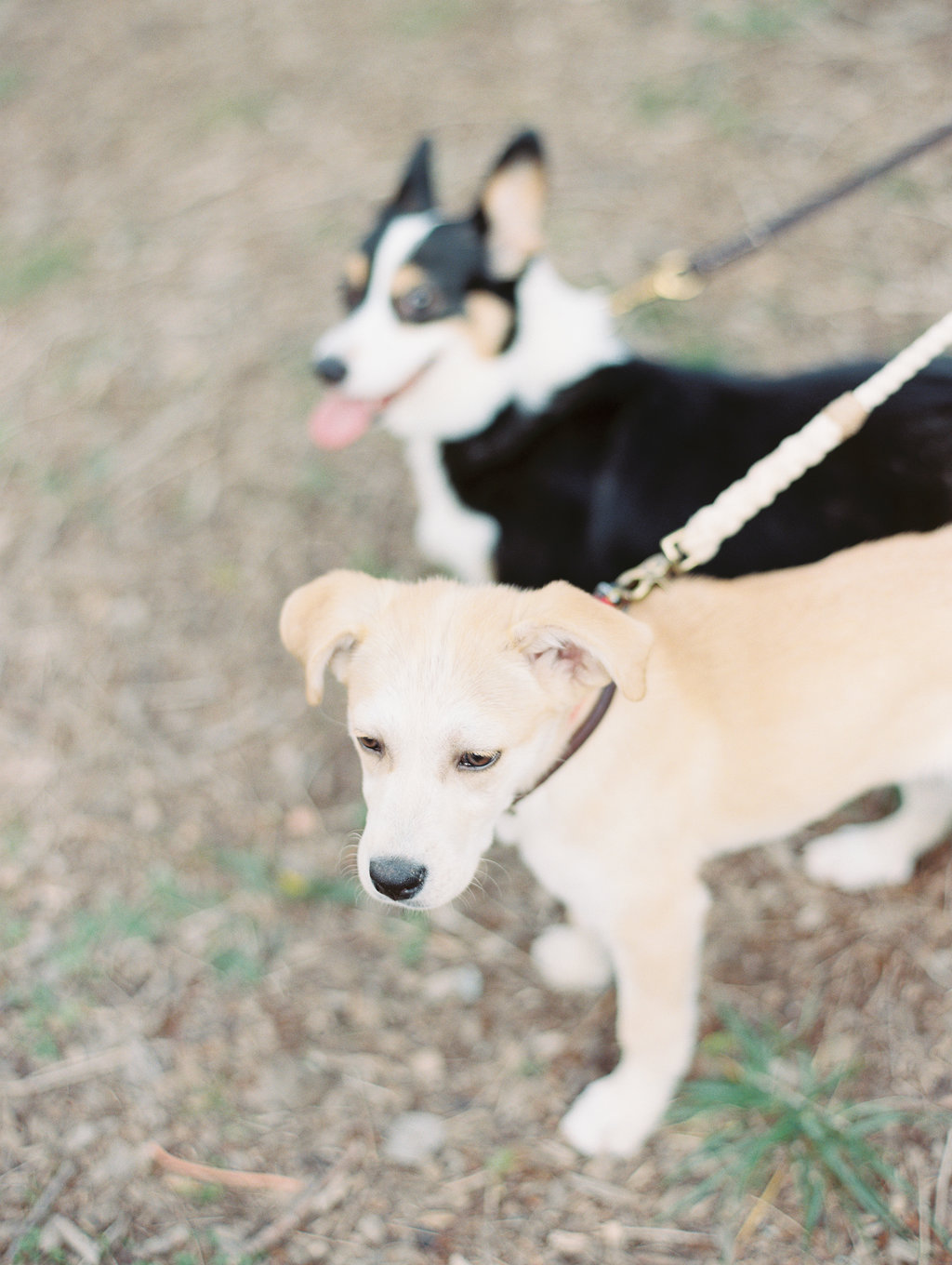 Piedmont-Park-Engagement-atlanta-wedding-photographer-hannah-forsberg-22.jpg