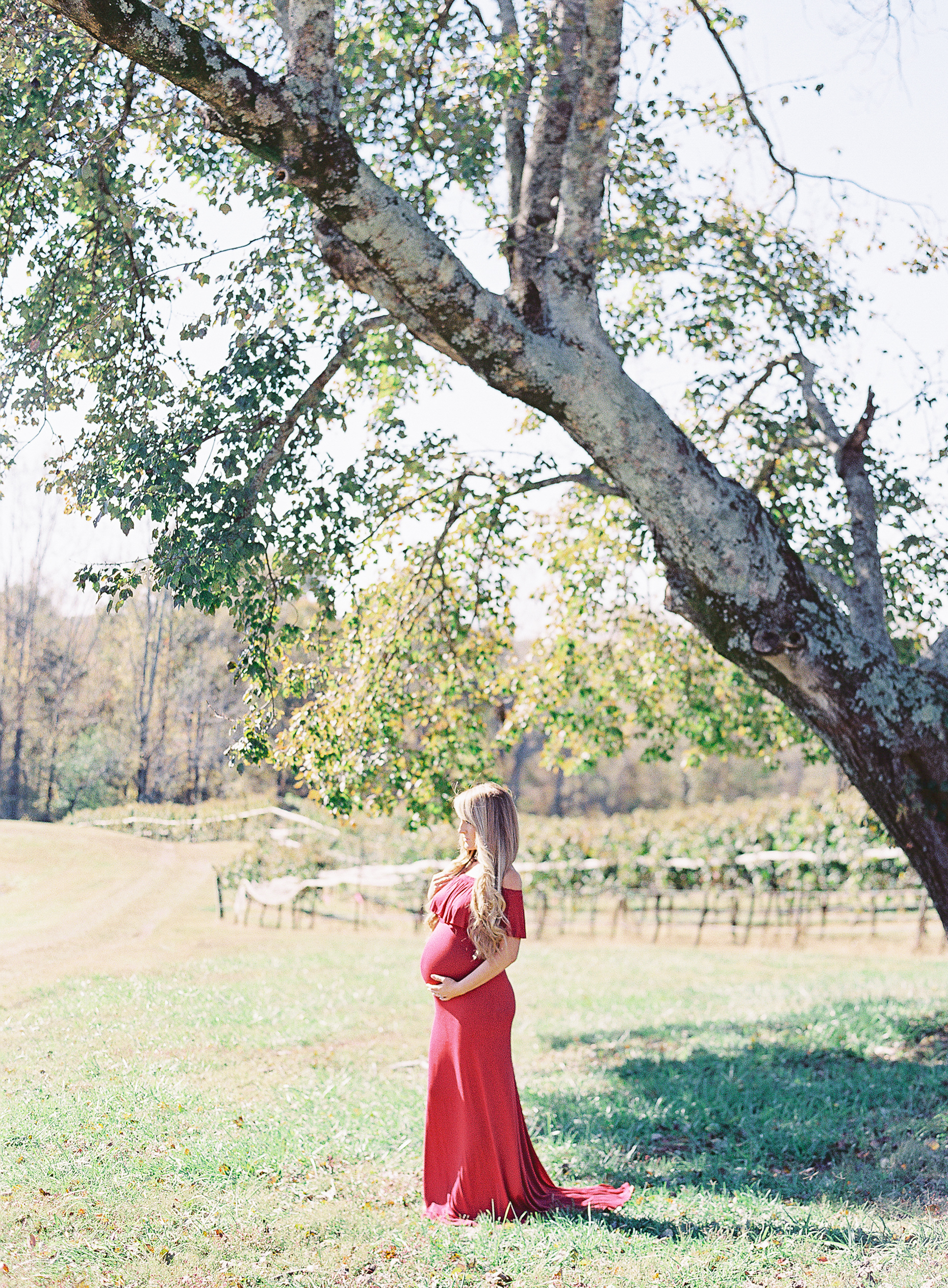 dahlonega-georgia-atlanta-montaluce-winery-wedding-family-photographer-hannah-forsberg-10.jpg