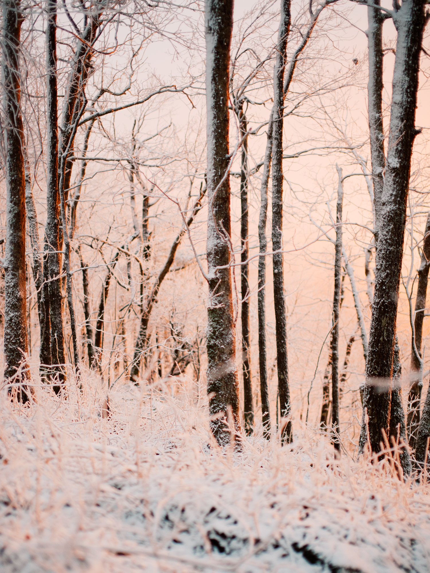 snowy-georgia-proposal-preachers-rock-atlanta-dahlonega-wedding-photographer-hannah-forsberg-fine-art-film-1.jpg