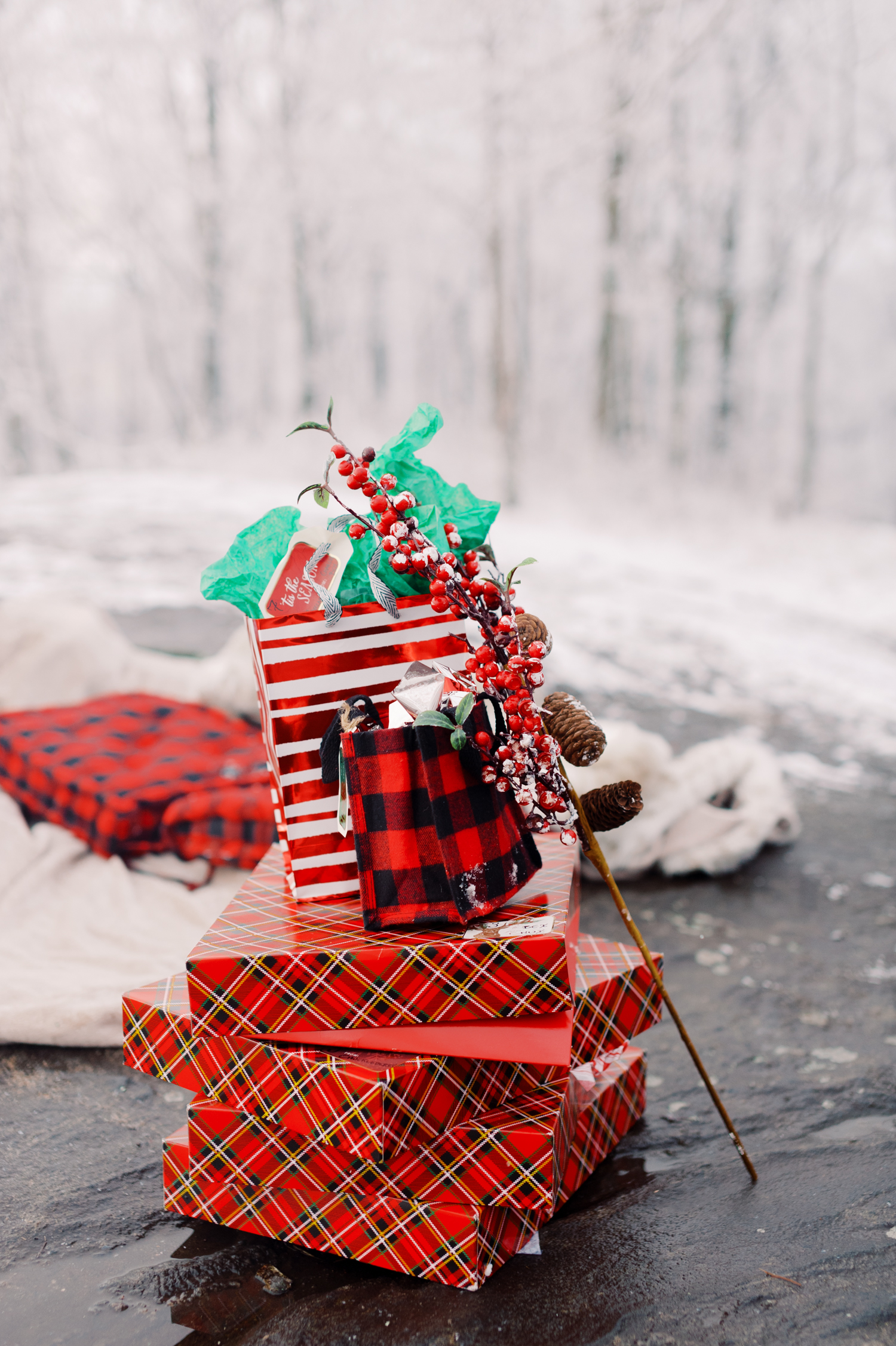 snowy-georgia-proposal-preachers-rock-atlanta-dahlonega-wedding-photographer-hannah-forsberg-fine-art-film-39.jpg