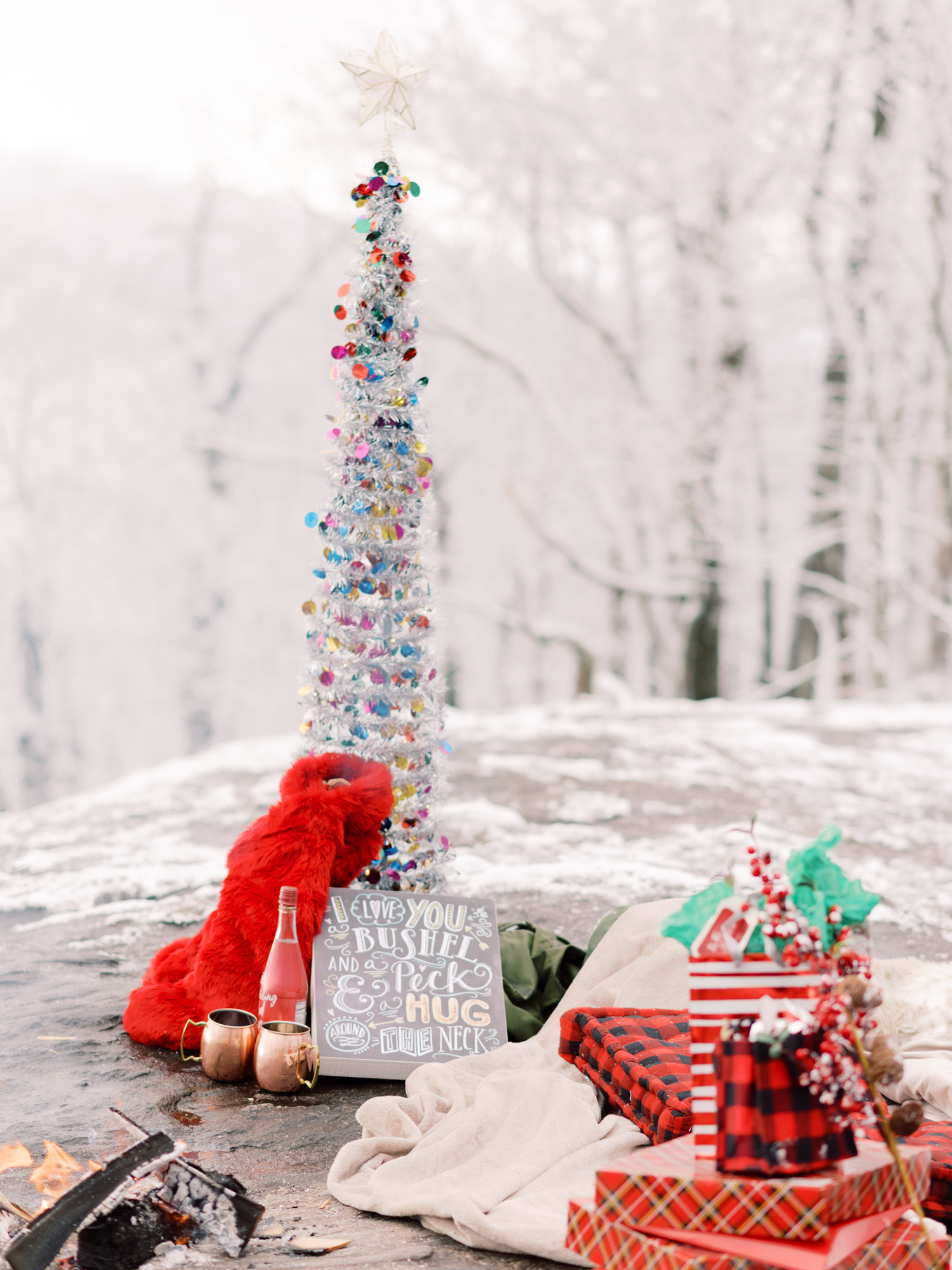 snowy-georgia-proposal-preachers-rock-atlanta-dahlonega-wedding-photographer-hannah-forsberg-fine-art-film-42.jpg