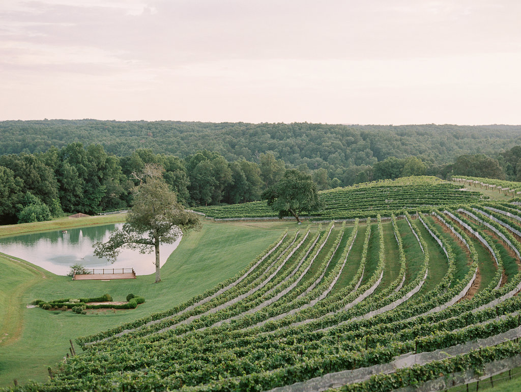 montaluce-winery-dahlonega-atlanta-wedding-photographer-fine-art-film-hannah-forsberg55.JPG