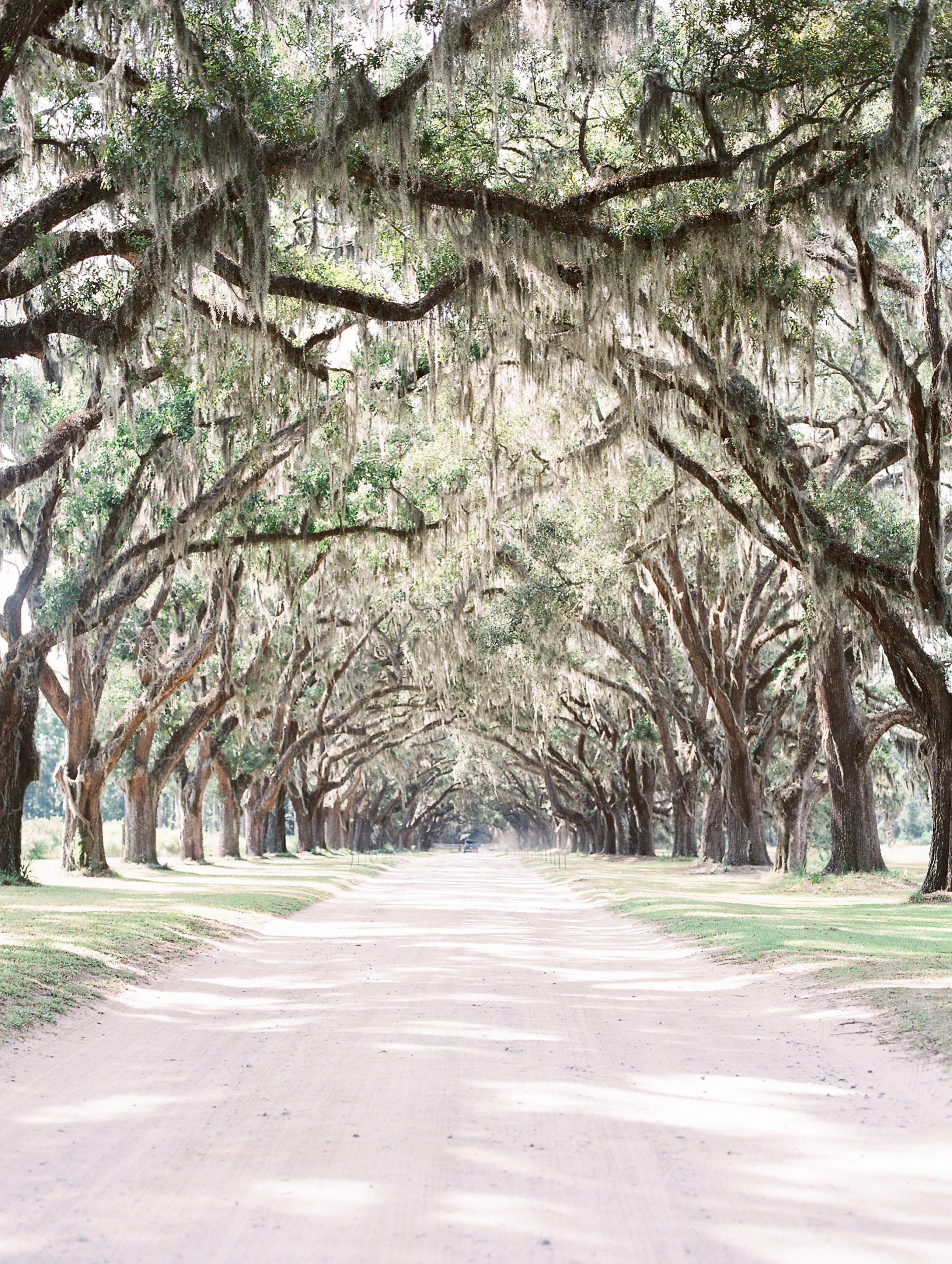 hannah-tommy-wormsloe-historic-site-engagement-photos-hannah-forsberg-atlanta-wedding-photographer-37.jpg