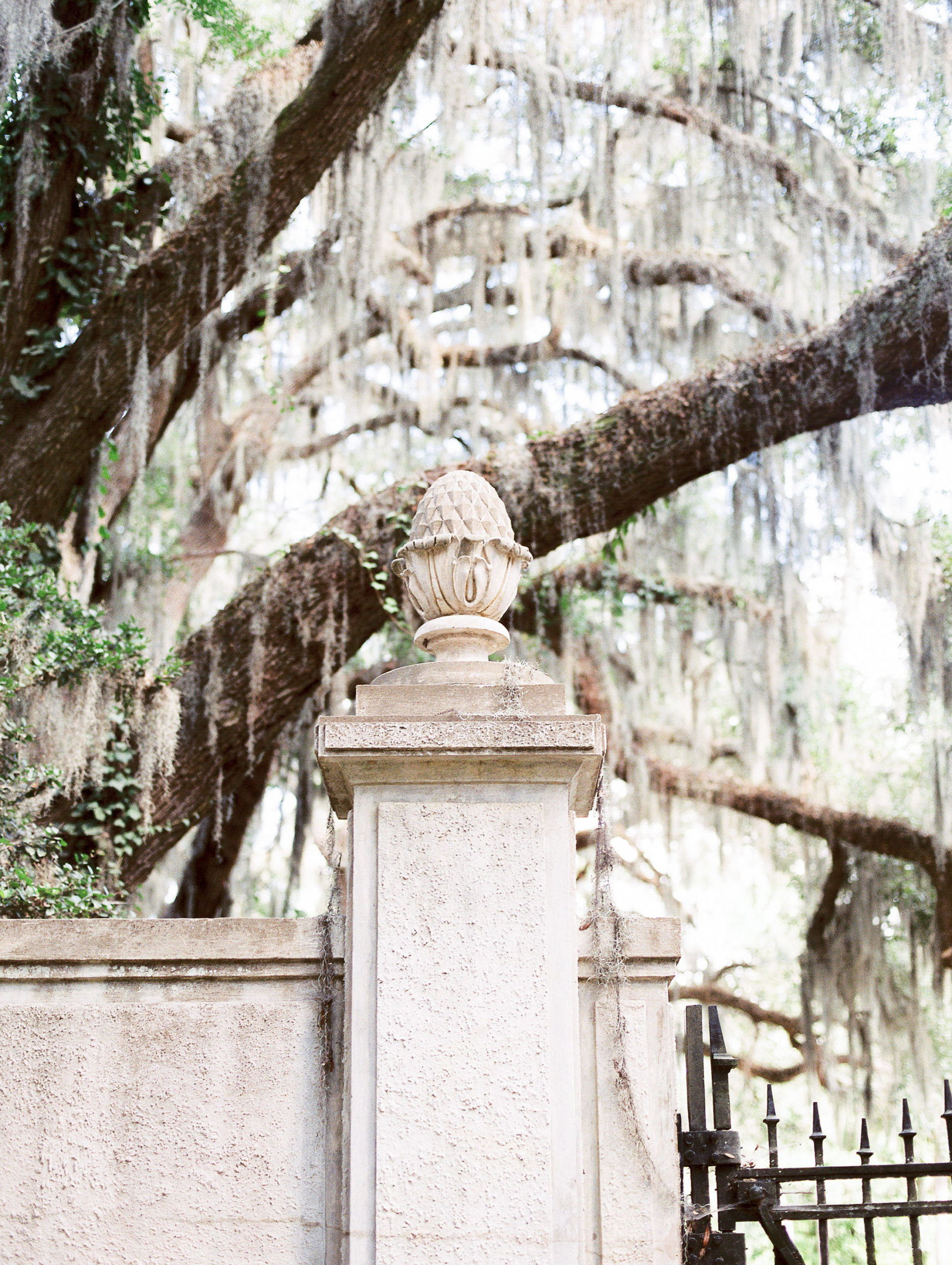 hannah-tommy-wormsloe-historic-site-engagement-photos-hannah-forsberg-atlanta-wedding-photographer-39.jpg