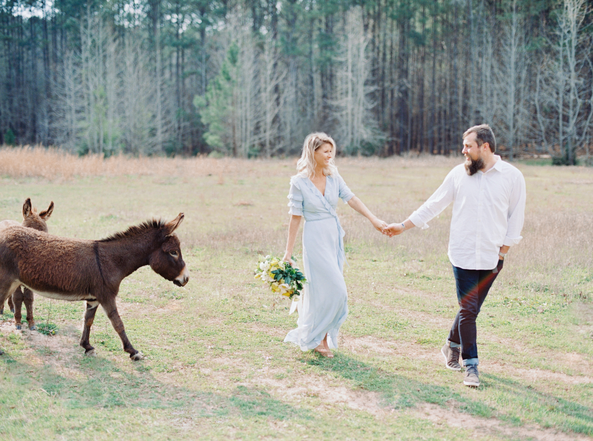 hannah forsberg atlanta wedding photographer whitney spence anniversary session with miniature donkeys and horse-12.jpg