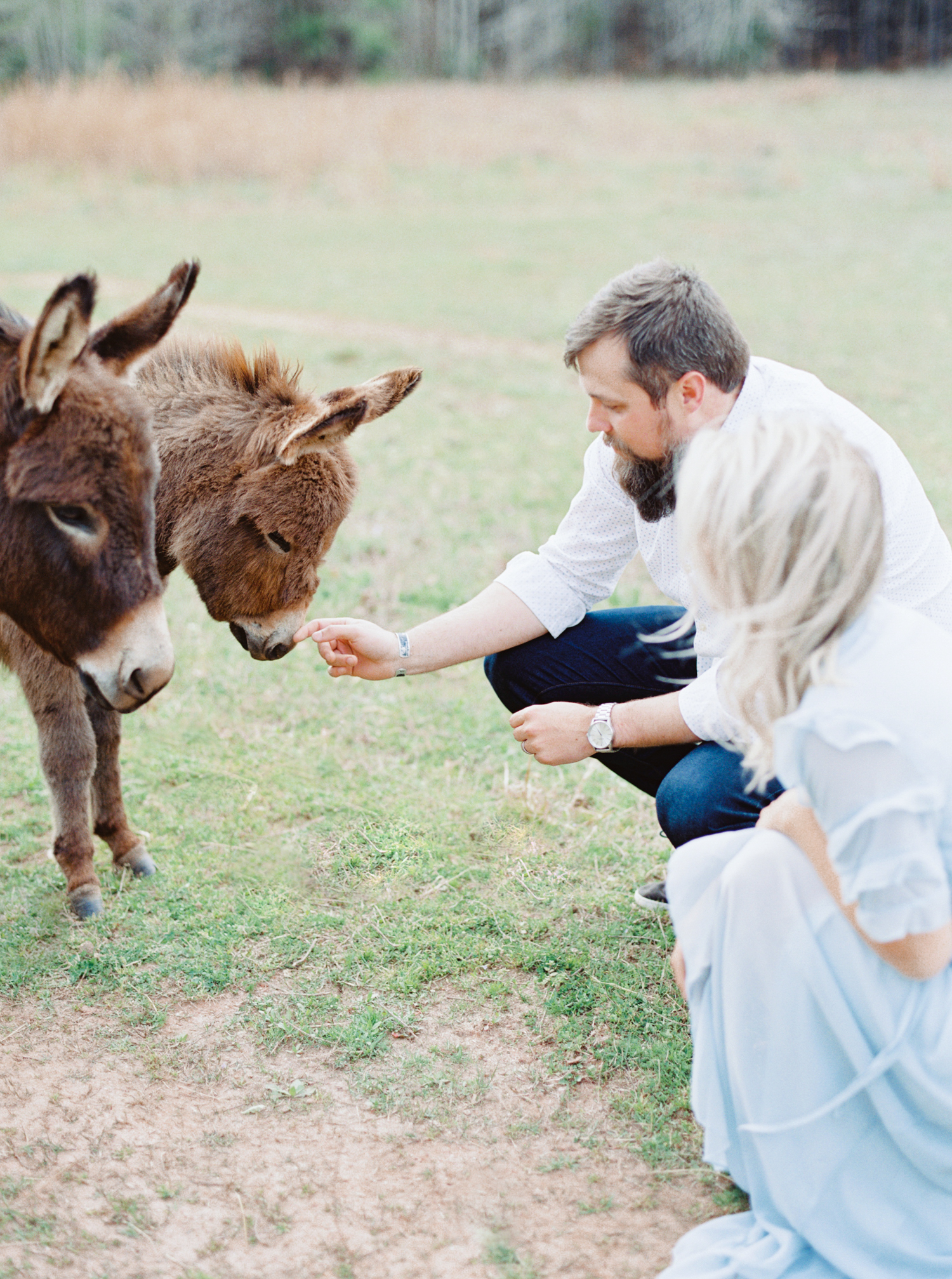 hannah forsberg atlanta wedding photographer whitney spence anniversary session with miniature donkeys and horse-10.jpg