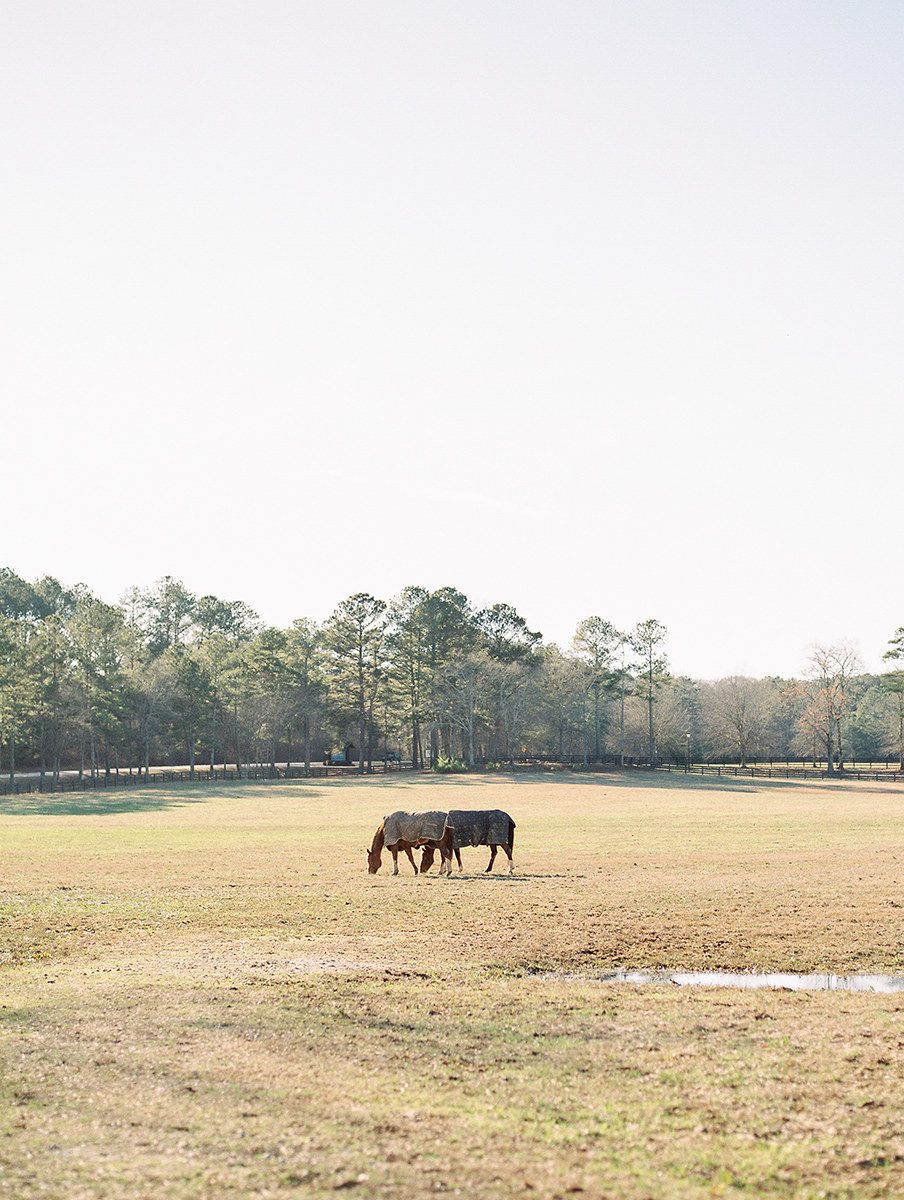 The Stables at Foxhall Resort Hannah Forsberg atlanta wedding photographer04.JPG