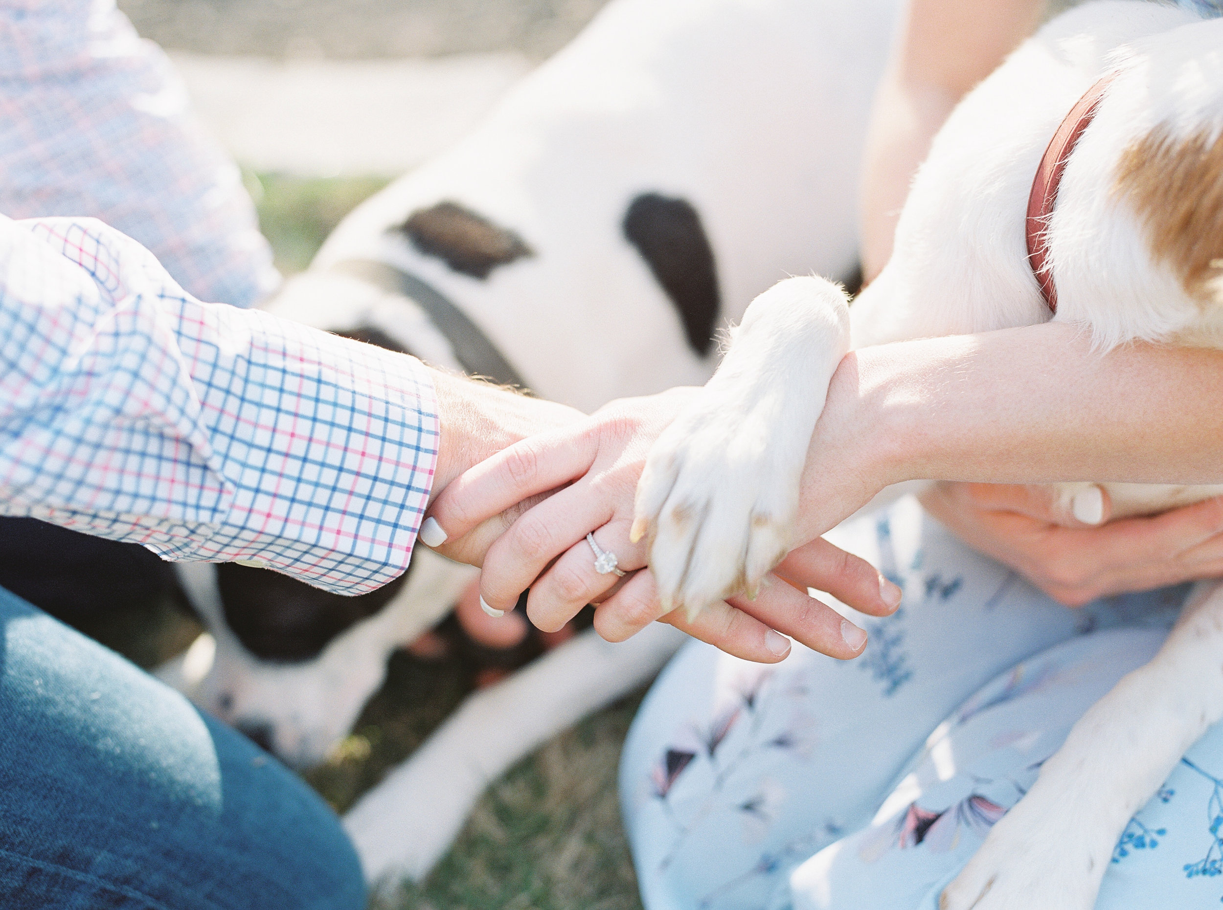 hannah forsberg atlanta wedding photographer cator woolford gardens engagement pictures10.JPG