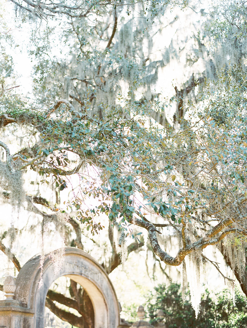 Wormsloe-historic-site-savannah-engagement-hannah-forsberg-atlanta-wedding-photographer-1.jpg