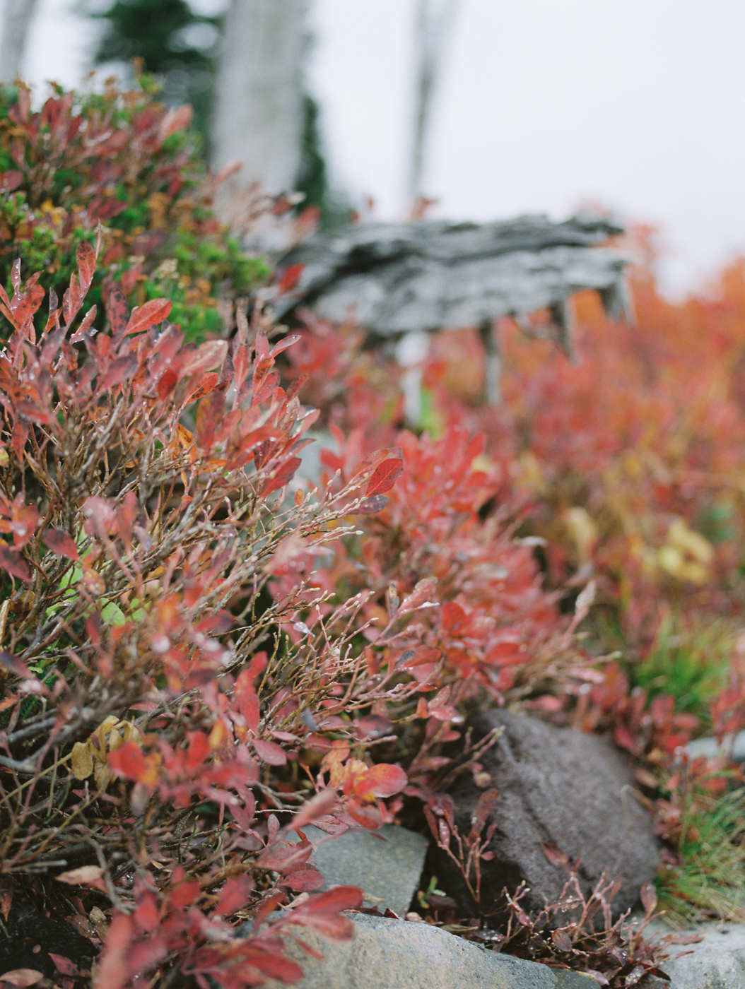 seattle-film-18.jpg