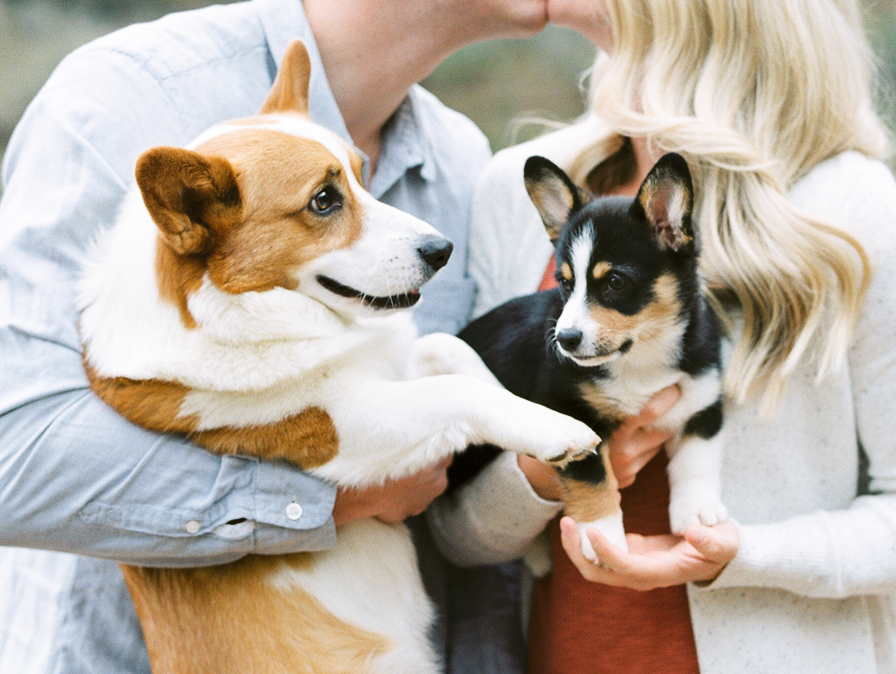 Atlanta-park-family-session-with-puppies-hannah-forsberg-atlanta-wedding-photographer129.JPG