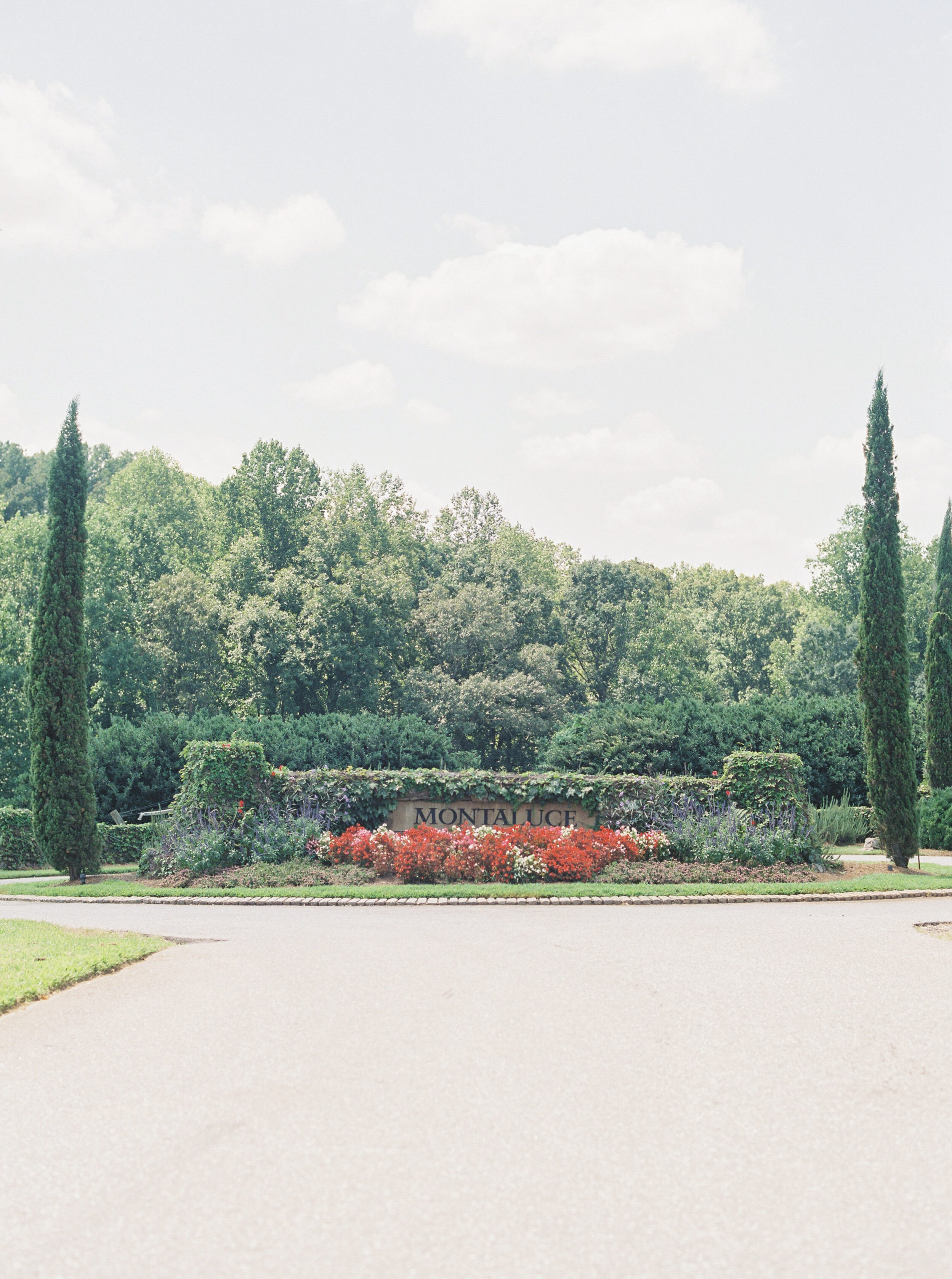 montaluce-winery-wedding-photography-dahlonega-hannah-forsberg-atlanta-film-wedding-photographer26.JPG