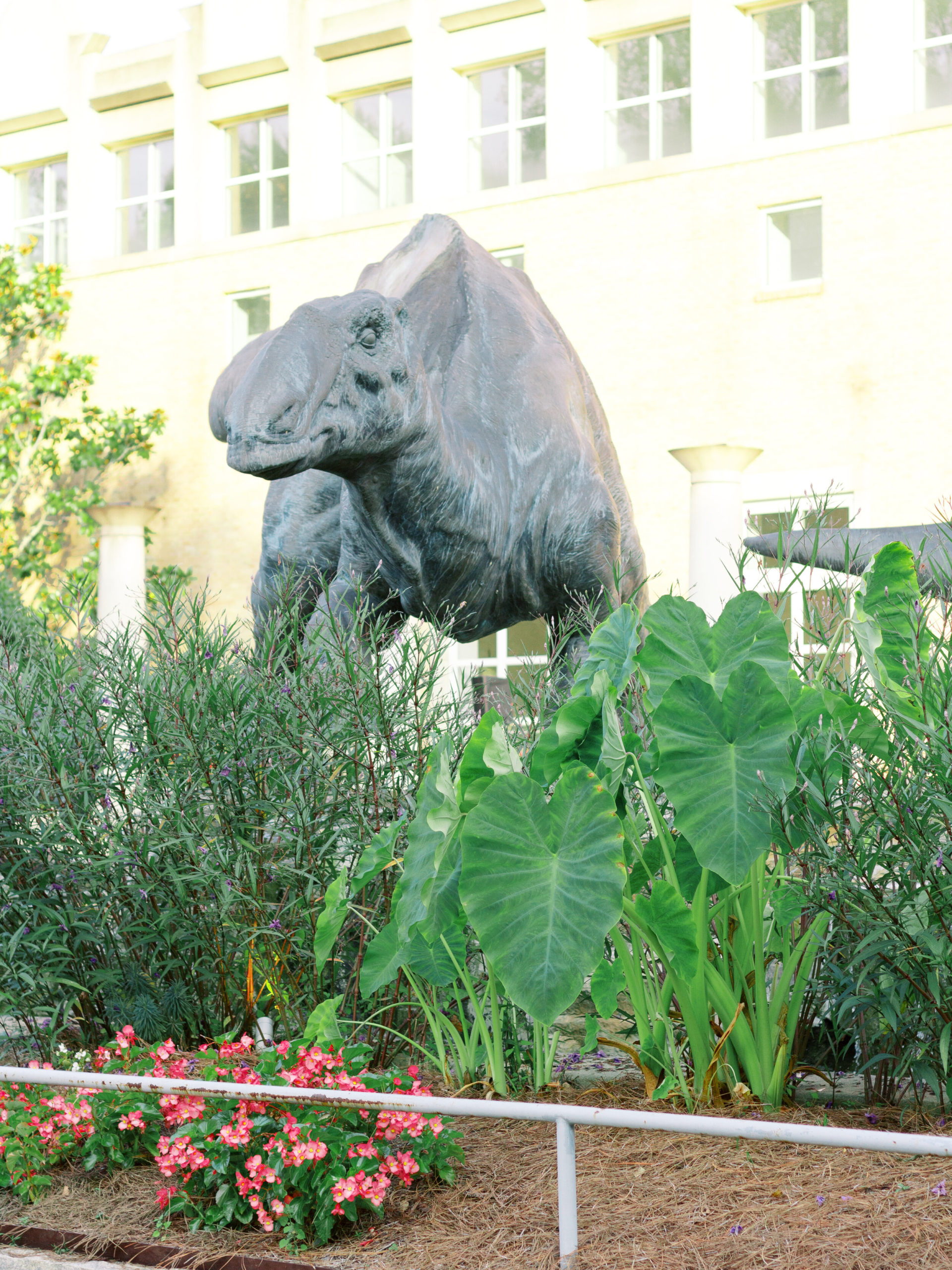 fernbank-museum-natural-history-wedding-fine-art-film-photographer-atlanta-hannah-forsberg-11.jpg