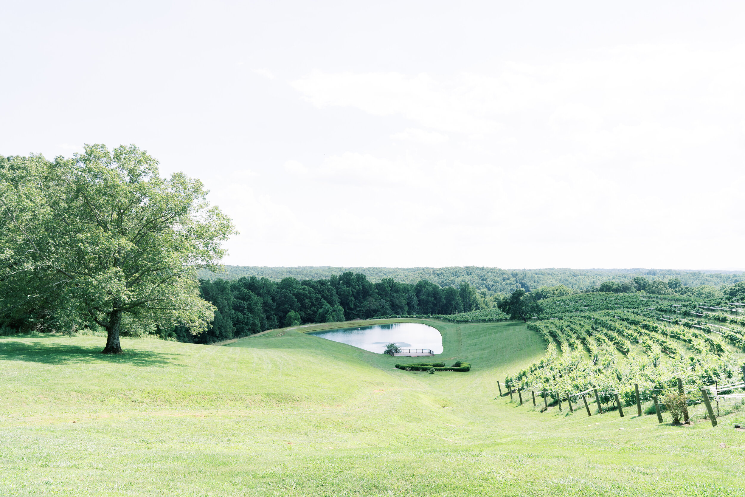 montaluce-winery-restaurant-covid19-wedding-georgia-atlanta-wedding-photographer-hannah-forsberg-production-room-ceremony-37.jpg