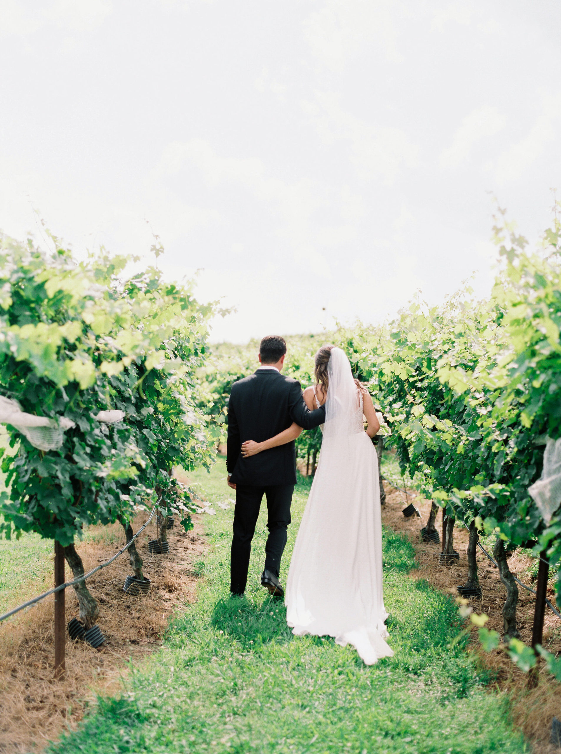 montaluce-winery-dahlonega-wedding-fine-art-film11.jpg