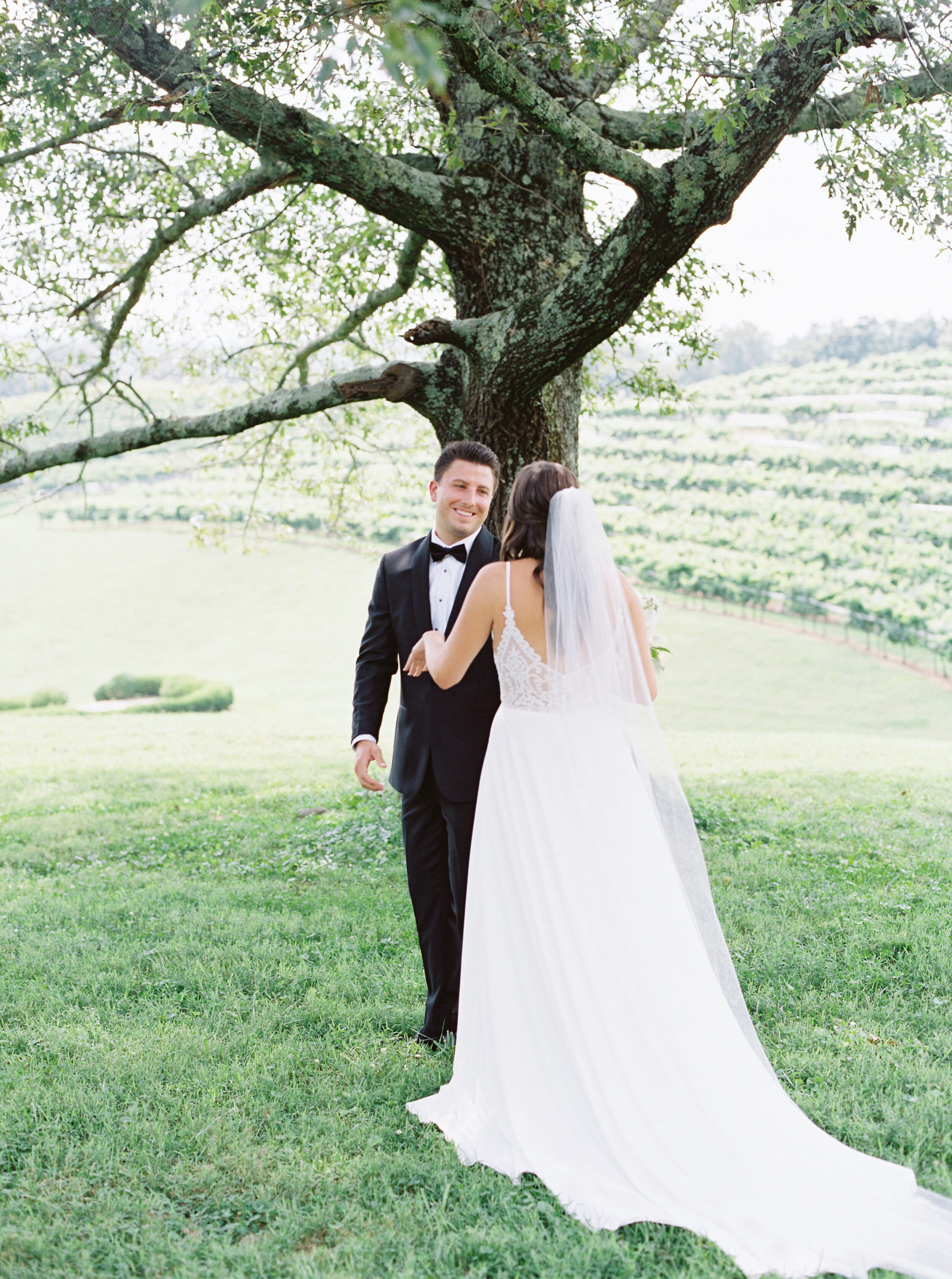 montaluce-winery-dahlonega-wedding-fine-art-film5.jpg