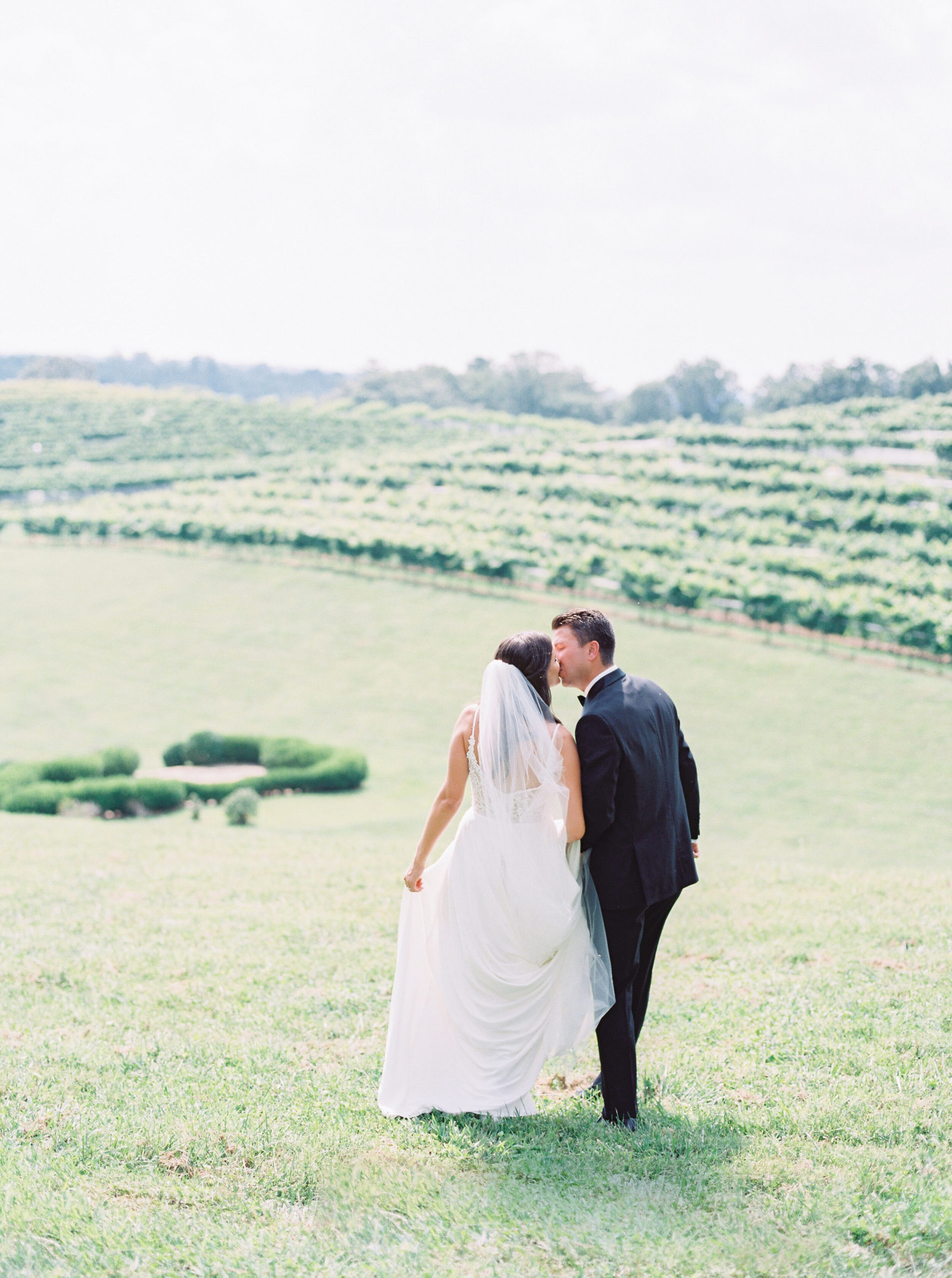 montaluce-winery-dahlonega-wedding-fine-art-film9.jpg