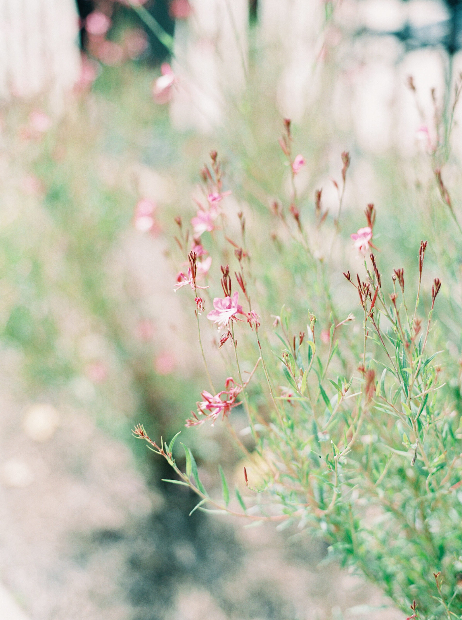 juliette-chapel-wedding-fine-art-film-photography (2).jpg