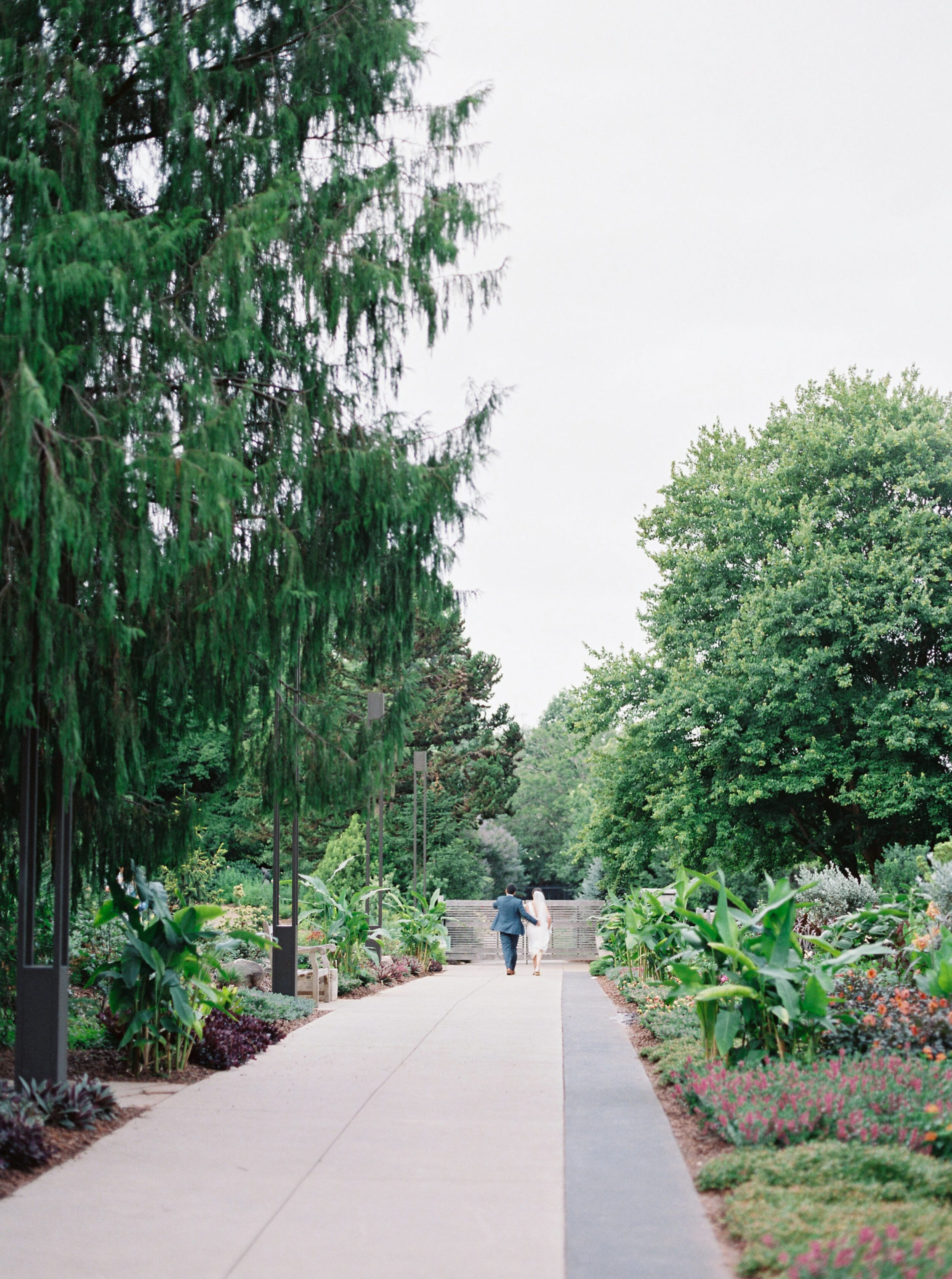 atlanta-botanical-gardens-elopement-wedding-fine-art-film (13).jpg