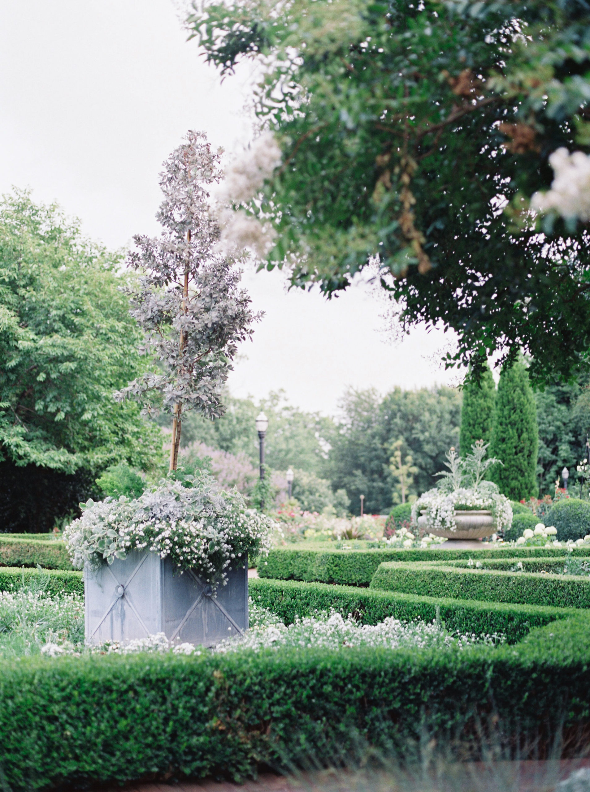 atlanta-botanical-gardens-elopement-wedding-fine-art-film (15).jpg