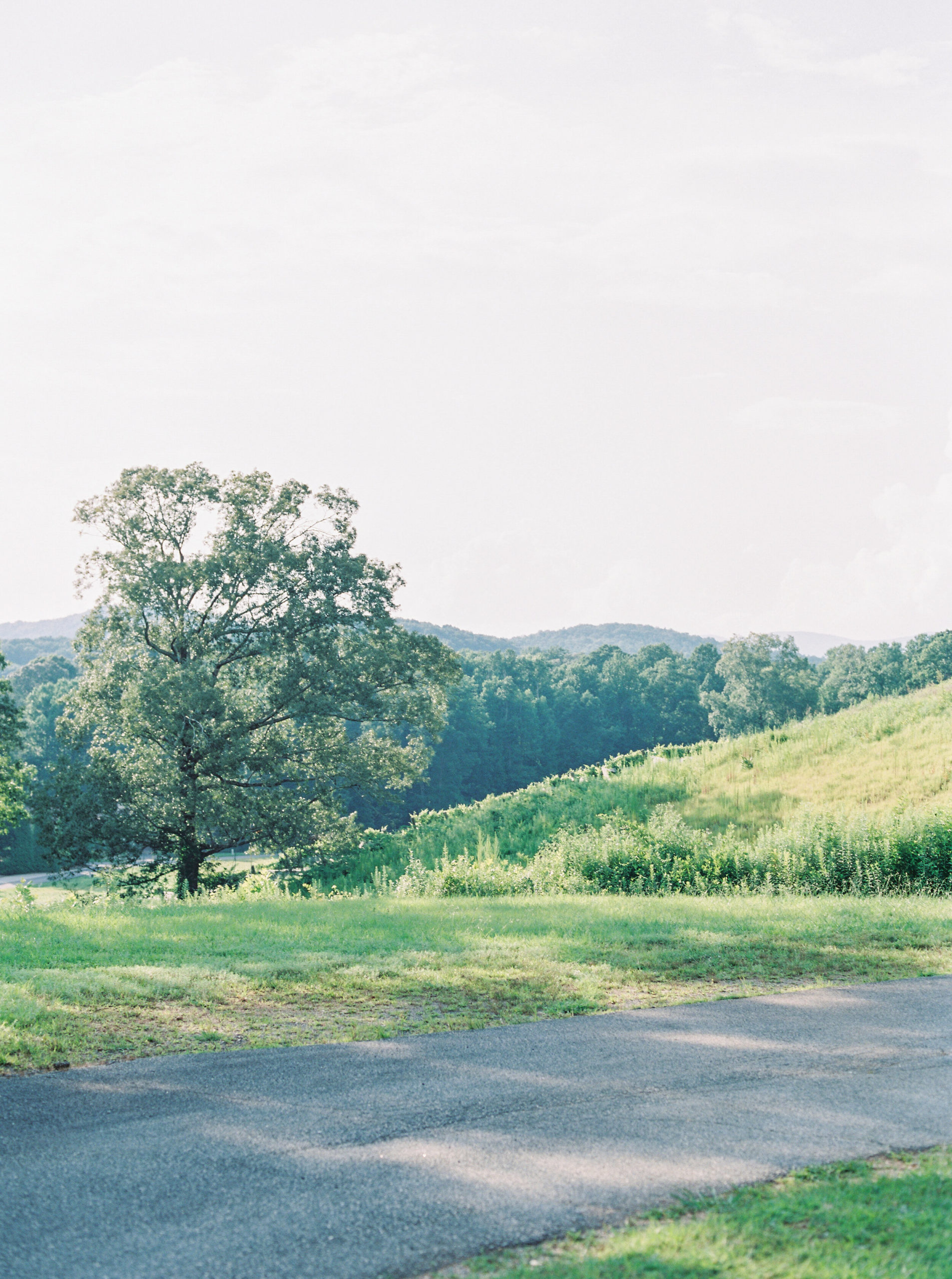 montaluce-winery-engagement-session-fine-art-film-dahlonega-atlanta-georgia-october-2020 (3).jpg