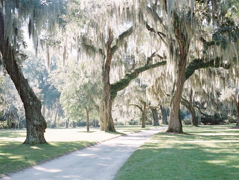 Beaulieu Estate Savannah Georgia Wedding photographed by destination photographer Hannah Forsberg on FIlm 016.JPG