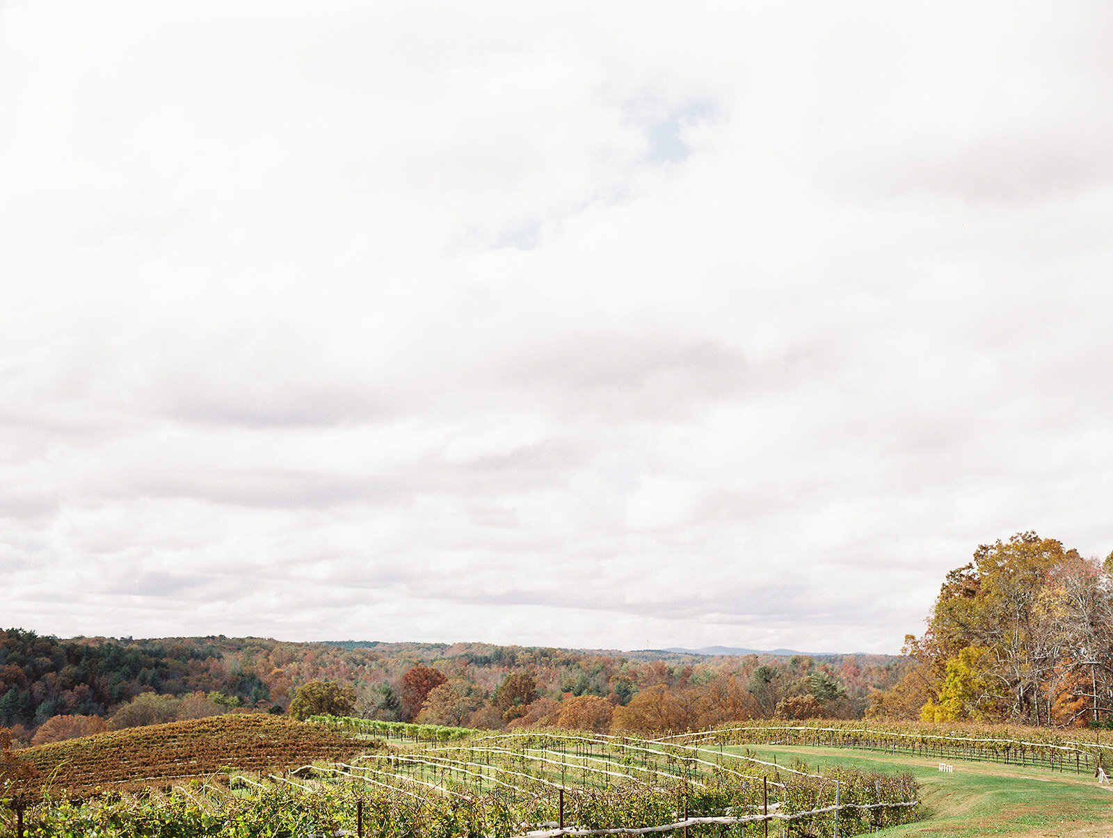 montaluce-winery-wedding-dahlonega-fine-art-film-hannah-forsberg-atlanta-photographer-12.jpg