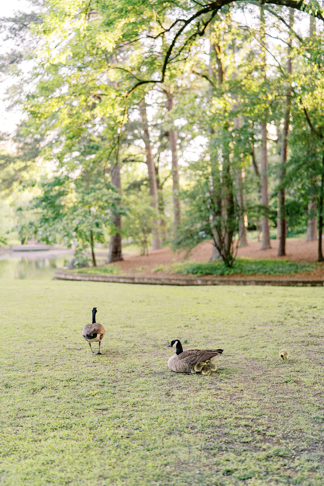 atlanta-wedding-photographer-buckhead-park-elopement-hannah-forsberg001.JPG