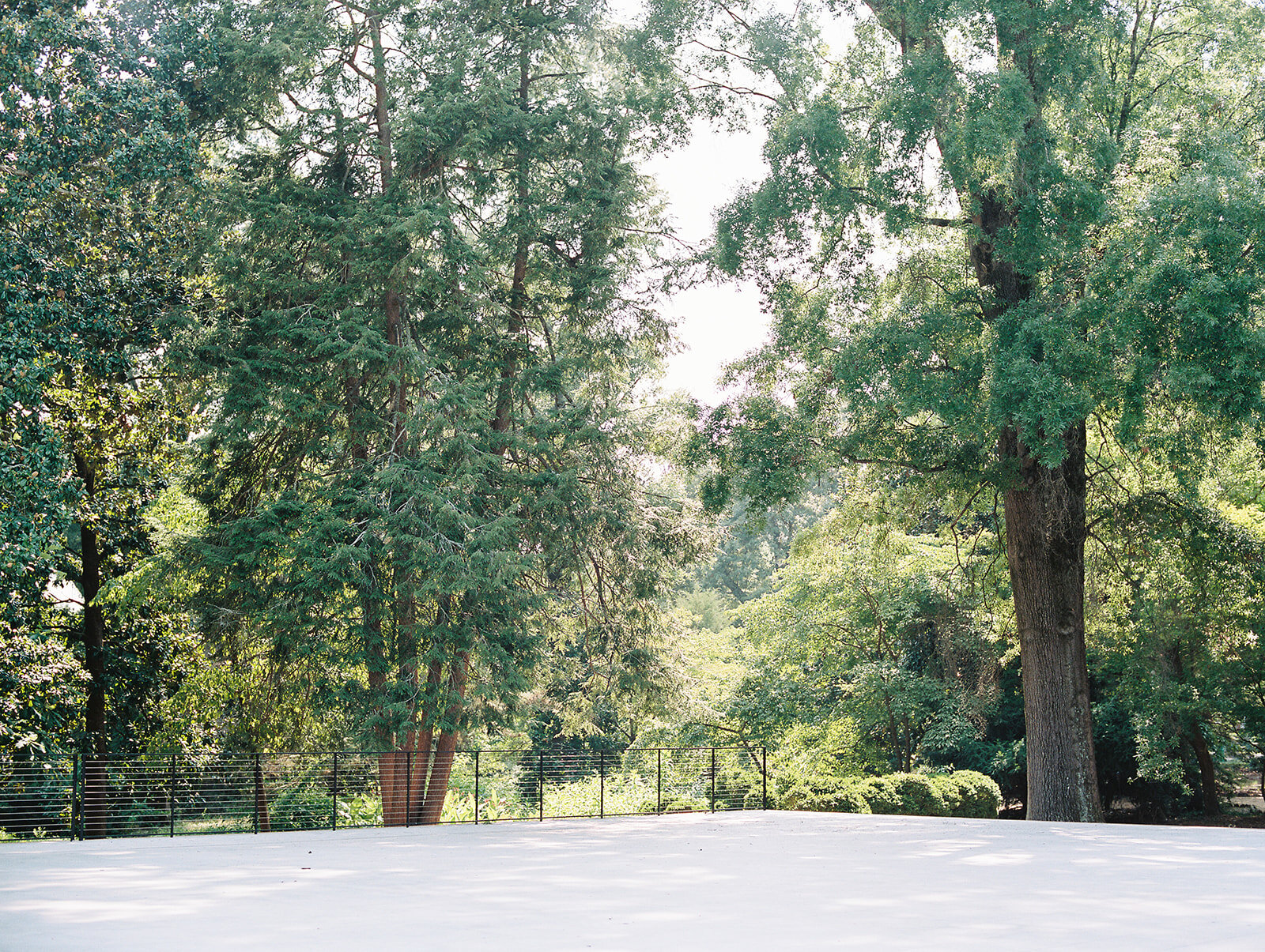 VanLandingham Estate Charlotte North Carolina Venue Tour Hannah Forsberg Photographer-002.JPG