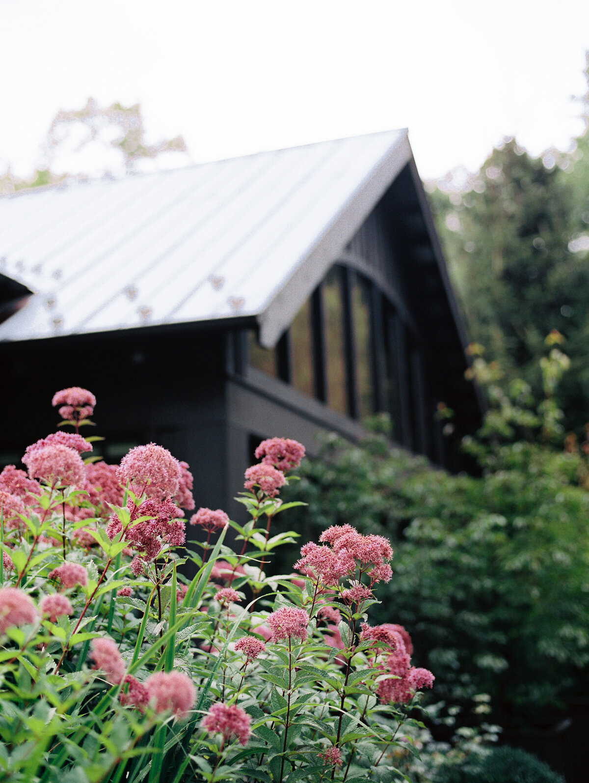the farm at old edwards inn wedding highlands north carolina hannah forsberg wedding film photographer destination-2.jpg