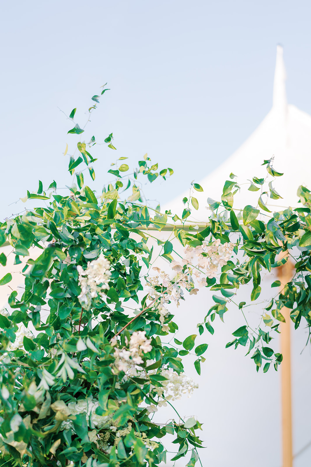 PGA Golf Player Lanto Griffin marries wife at Dormie Golf Club with a beautiful sailcloth tented reception wedding