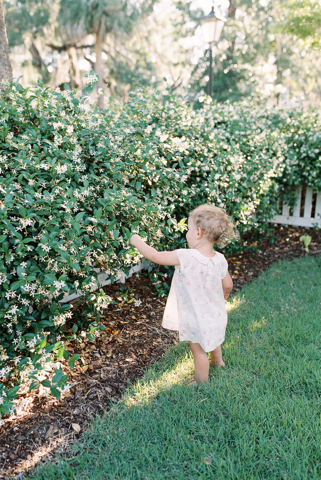 Montage Palmetto Bluff Family Photos in the garden